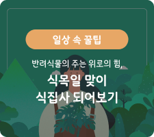일상 속 꿀팁 반려식물의 주는 위로의 힘,식목일 맞이 식집사 되어보기