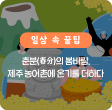 제주 농어촌