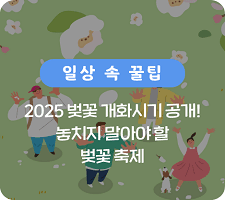 벚꽃 축제