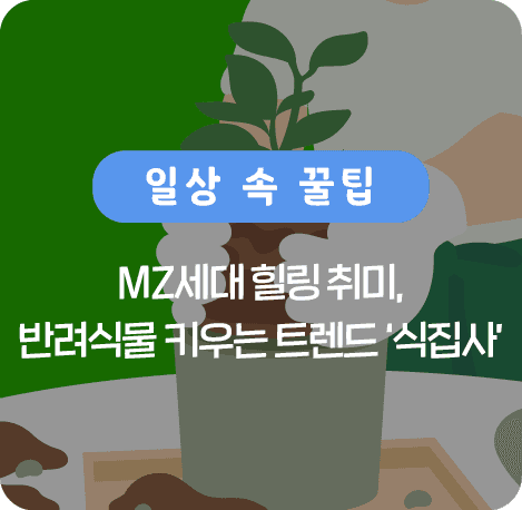 MZ세대 힐링 취미. 반려식물 키우는 트렌드 '식집사'
